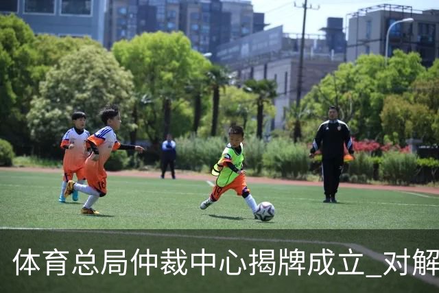 体育总局仲裁中心揭牌成立 对解决足球纠纷有益